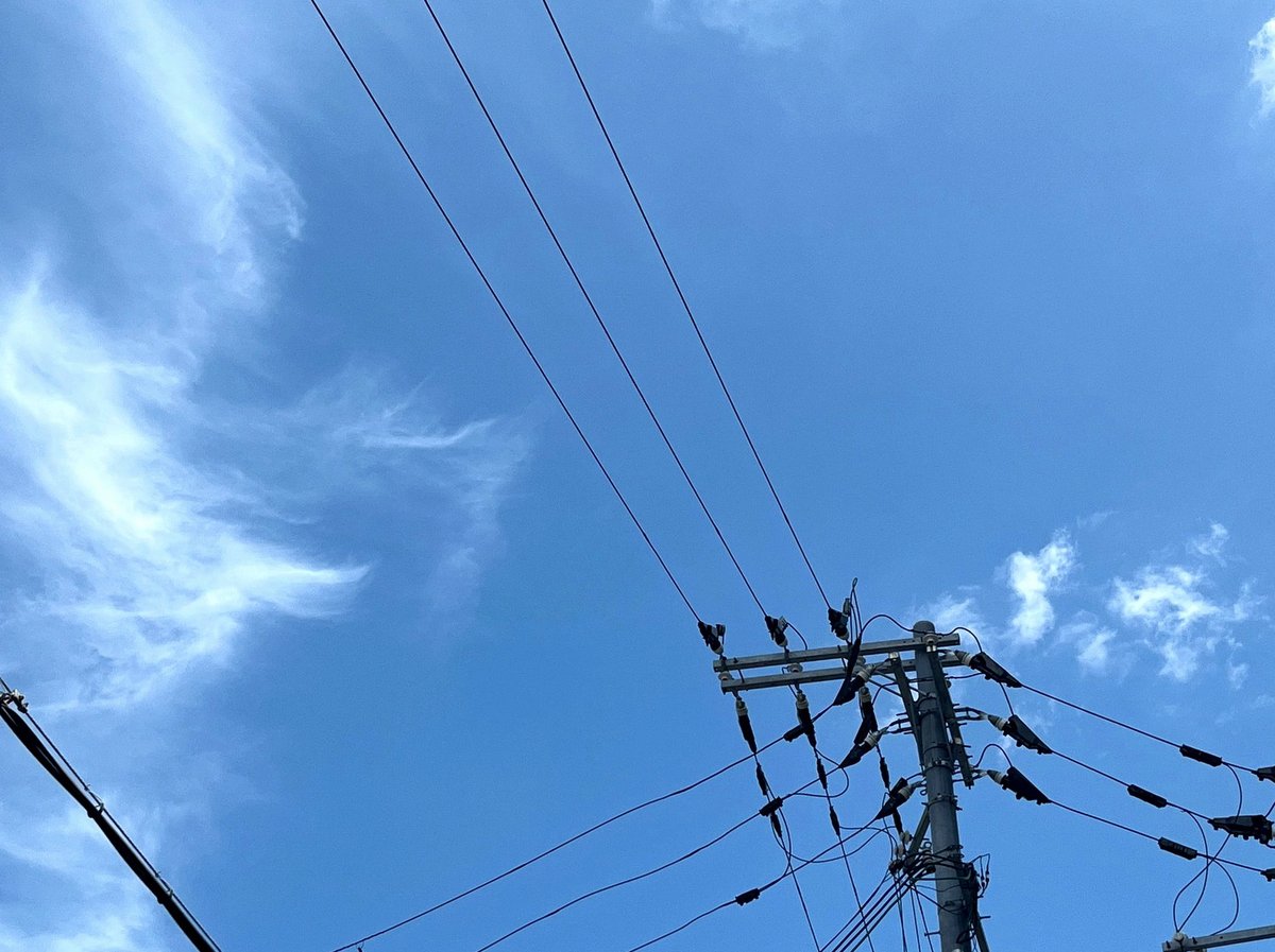 SEAFIRST12's tweet photo. Dハロ行きたいけど、去年みたいに不快なレイヤーみたくないから三連休がいいかな
ぼっちディズニーするか？ https://t.co/zaGc7762XX
