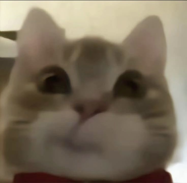 Jyagaimosan_'s tweet photo. https://t.co/1IfOhQluOv