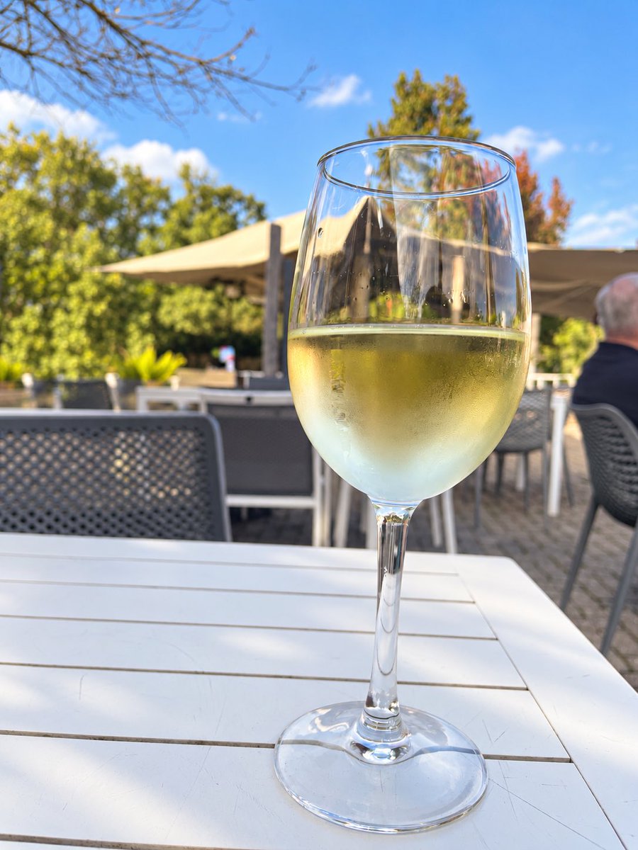 jackie44799's tweet photo. Enjoying the sunshine in Rotterdam… blue skies, a glass of wine, and a perfect Sunday afternoon. ☀️🥂 https://t.co/9BzdHedM7S