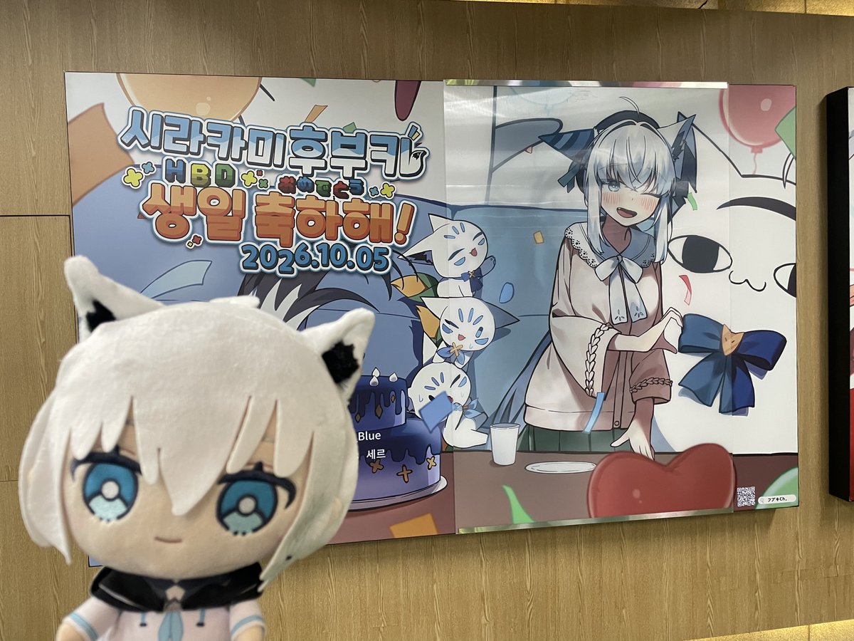 hakusukonbu's tweet photo. フブさん！
誕生日おめでとうございます！！！
いつもありがとうございます！
これからも応援します！！！

最高～～　

#白上フブキ生誕2026 https://t.co/Q5YnwHC6P3