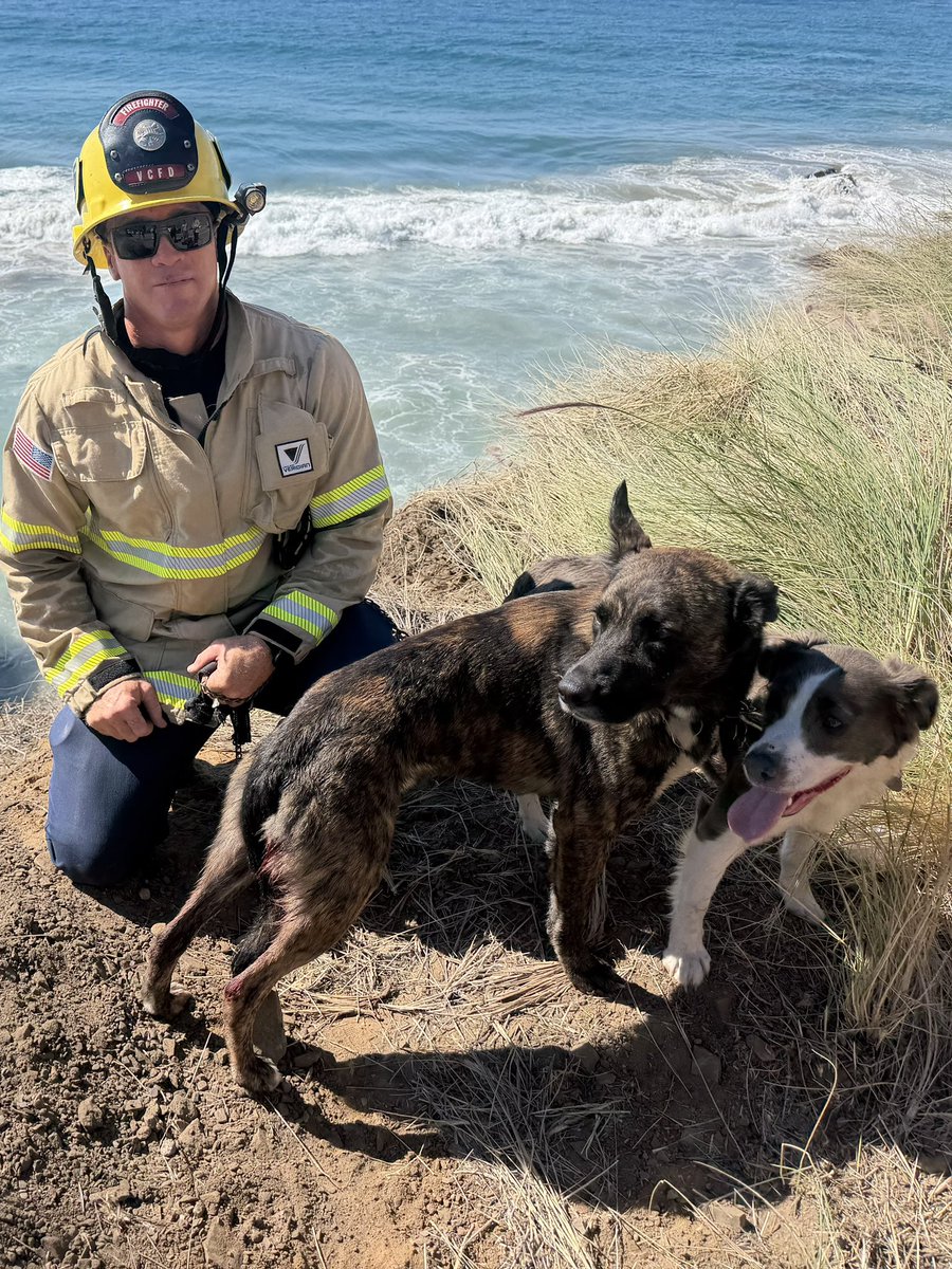 VCFD_PIO tweet picture