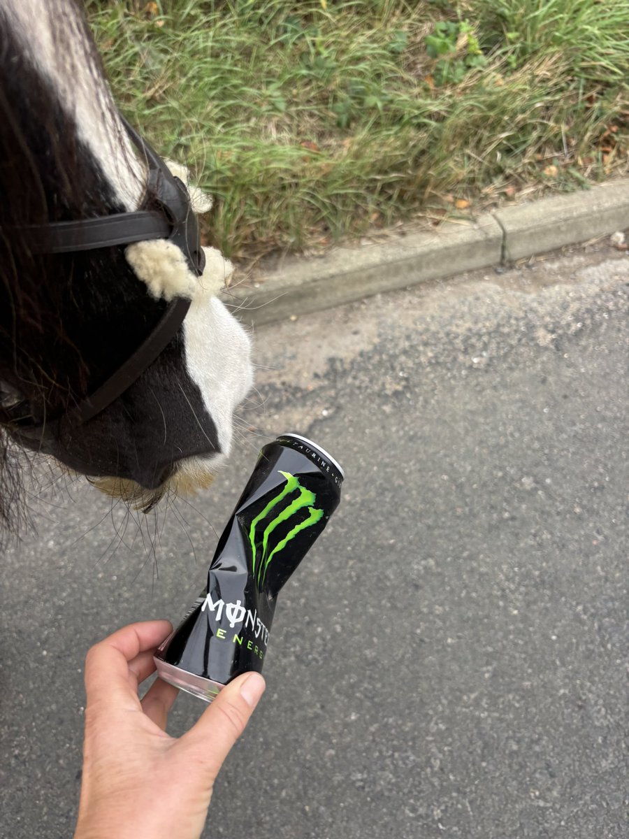 waddells74's tweet photo. #litter along 🛣️ ⚠️ Dangerous 🐴 Remember it takes 2minutes to #Binit 🗑️ keeping everyone safe 👧 🐴 🚙 🚐 🏍️ 🚲 🚛 🛻 🚌 #Cambois #VolunteerWork let’s keep our roads 🛣️ safe 👍 #Northumberland 🥰 xx trot off to a bin 🗑️ guys x 😃 https://t.co/eeOGLyELJz