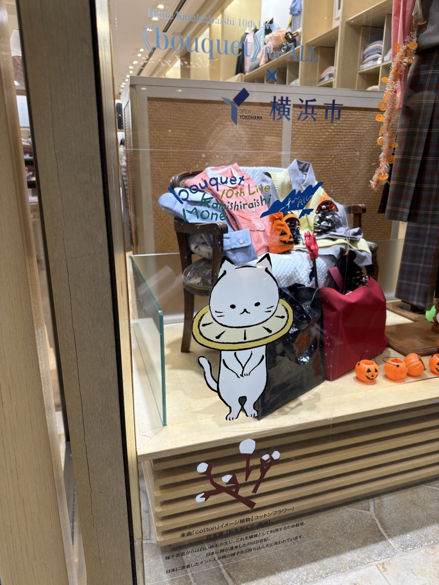 imakimikuru's tweet photo. 横浜元町ショッピングストリート
フクゾー洋品店

楽曲「Cotton」イメージ植物／コットンフラワー」
花言葉【私を包んで・繊細】
種子表面からは白い綿毛が生じ、これを機維として利用するため栽培。
日本に綿が渡来したのは8世紀。
日本に漂着したインド人が綿の種子を持ち込んだと言われています。 https://t.co/LawscPTL7d