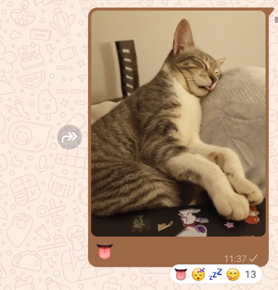 temporrubato's tweet photo. A mí nena le reaccionaron toda tierna y a mi nene le dijieron hipopótamo... https://t.co/HIdHiM8csI