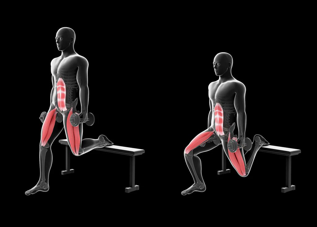 brygg_kaffe's tweet photo. bulgarian split squats. https://t.co/sb8bnbgVWI