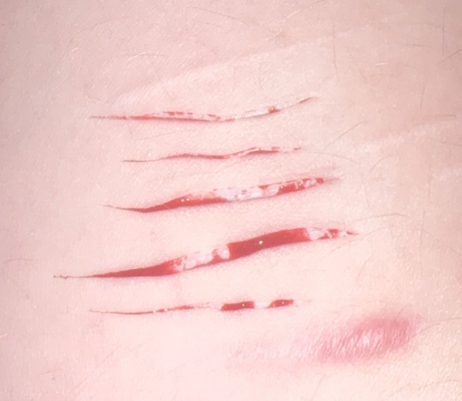Tylenolslits's tweet photo. Why am I so white in this image (all fake Halloween SFX makeup not real just professional makeup artist) #shrtwt #slitrtwt #styro #iwannadie https://t.co/T6EjnRrYuE