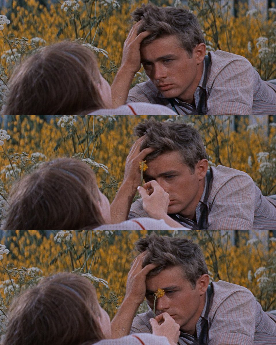 mubi's tweet photo. James Dean in EAST OF EDEN (Elia Kazan, 1955.) https://t.co/Swwng3MfkZ