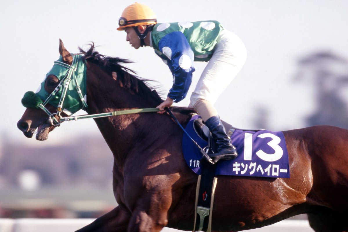 JRAVAN_info's tweet photo. キングヘイローは1997年の10月5日にデビューしました。父ダンシングブレーヴ、ケンタッキーオークス馬の母グッバイヘイローという世界的良血馬は、紆余曲折を経て2000年の高松宮記念で待望のG1制覇。近年はイクイノックスなどの母の父として注目されました。 https://t.co/PqRYtJfu3D