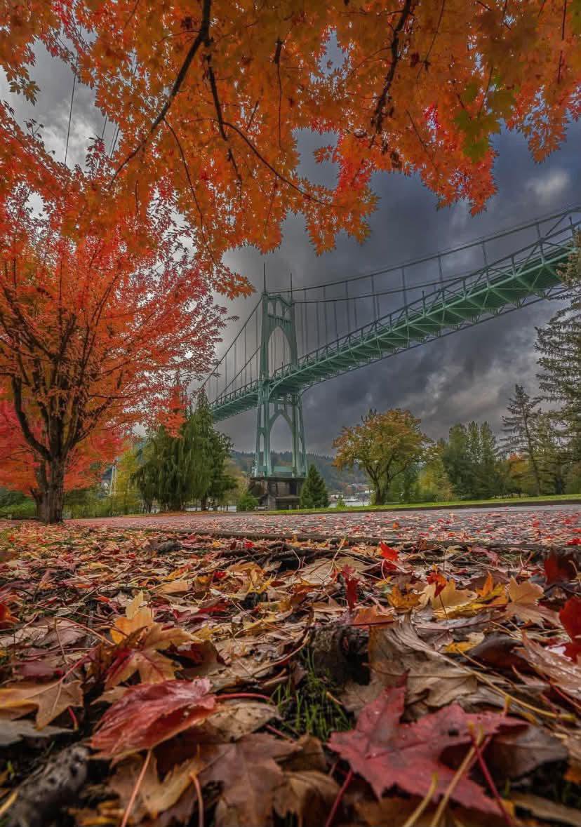 Natursee's tweet photo. Portland, Oregon in autumn 🍂🍁 https://t.co/VWWYFFltCe