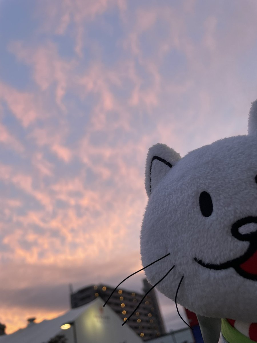 cosmo_b_o_c's tweet photo. 楽しかったなー！まだ耳がぐわんぐわんする。真横の後ろからのんびり聴こうと思ってたらびっくり…グータッチできた人まじで徳積んでるな。
生きる力を貰ったからまたがんばろ… https://t.co/DNJ5uZq1Wk