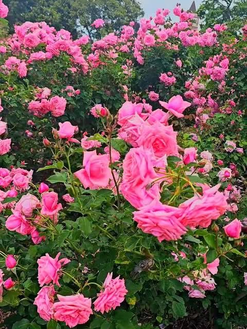 Kimchang87's tweet photo. https://t.co/kGtm98IqYF