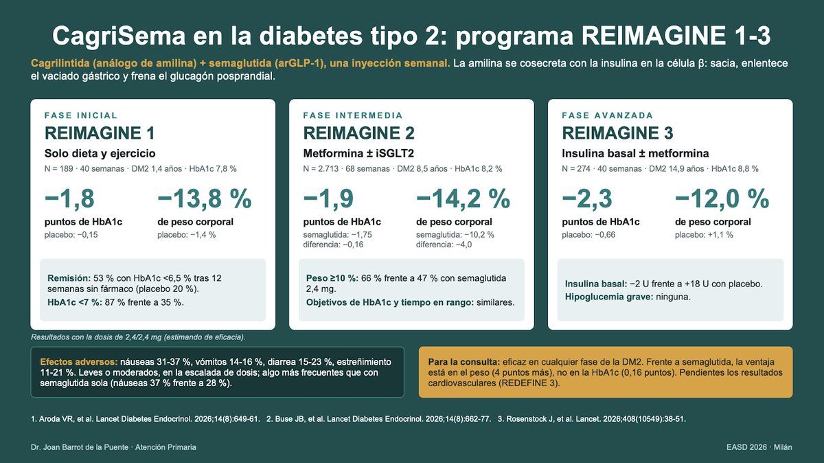 redGDPS's tweet photo. En una de las sesiones del #EASD2026 se ha tratado sobre 

💢 La amilina en diabetes y obesidad: ¿qué hay de nuevo?

El comentario del Dr. @JoanBarrot del #BlogdeMateu nos sentencia 

“LA AMILINA ha llegado para quedarse”

https://t.co/4ZGrfo3qRo https://t.co/2TAvVQZCRh
