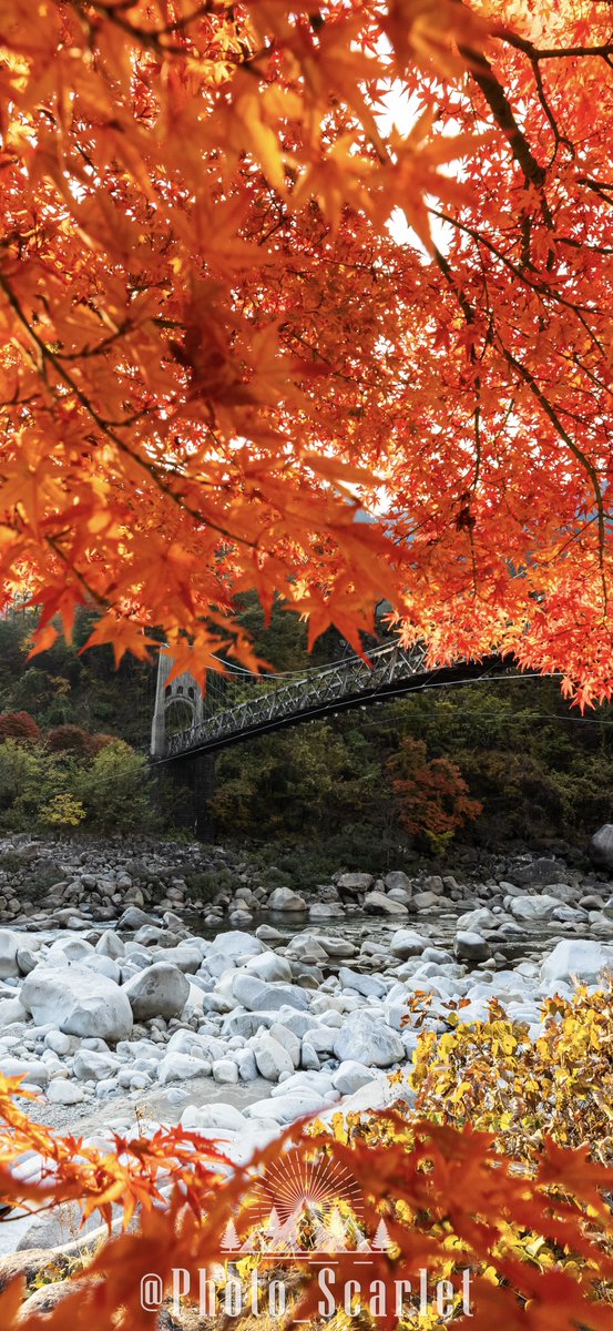Photo_Scarlet's tweet photo. 秋色の額縁に包まれた風景 https://t.co/pVOOCodRW2