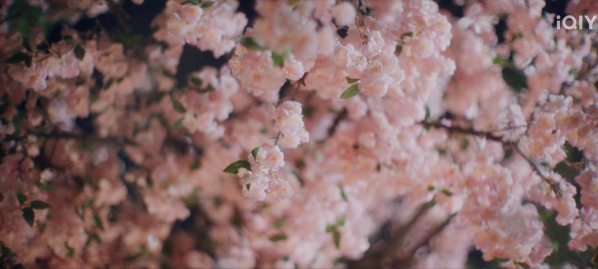 bluemoon_zy's tweet photo. 🌸🩷
#TheBestThing https://t.co/2UNFkyHNSz