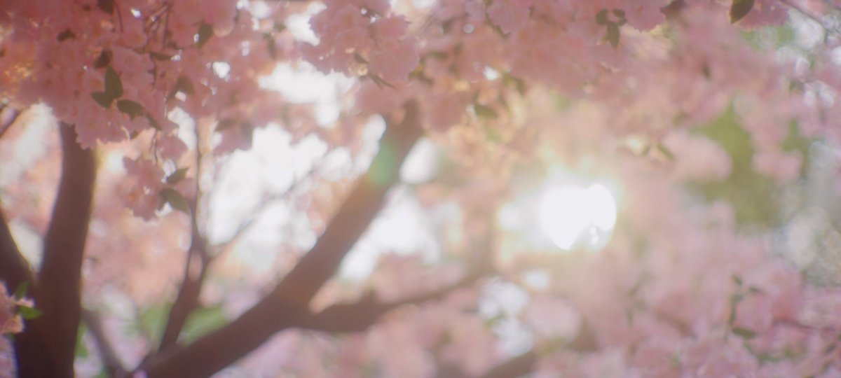 bluemoon_zy's tweet photo. 🌸🩷
#TheBestThing https://t.co/2UNFkyHNSz