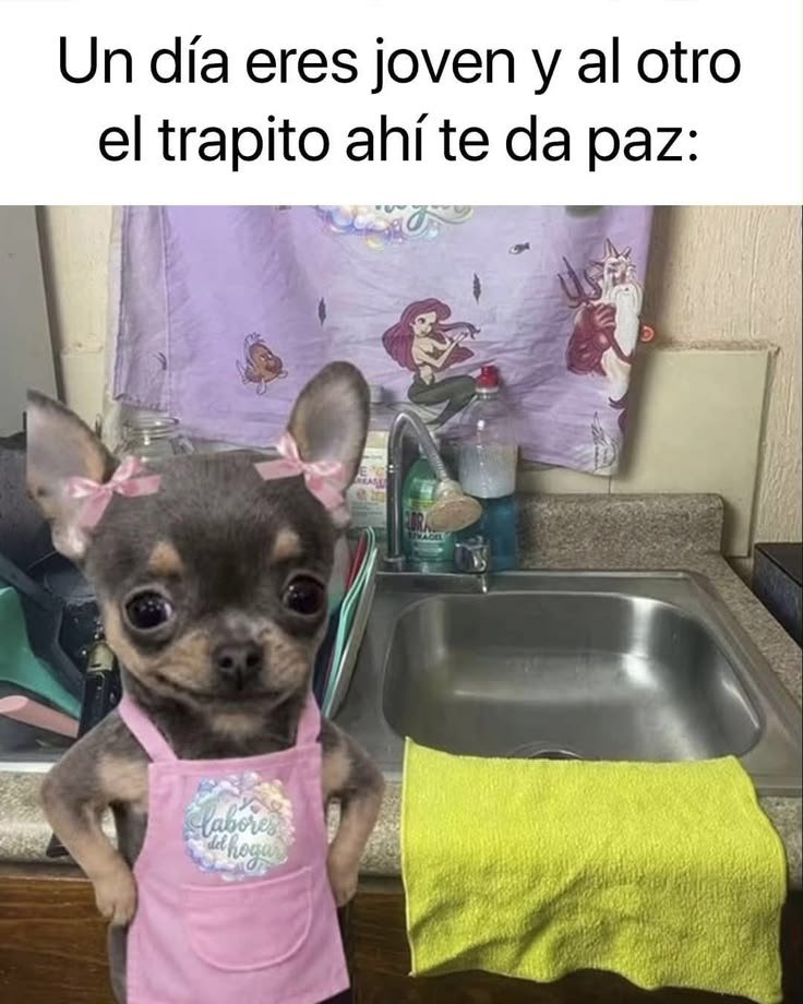 Paola888_'s tweet photo. https://t.co/2hVxlf1WzD