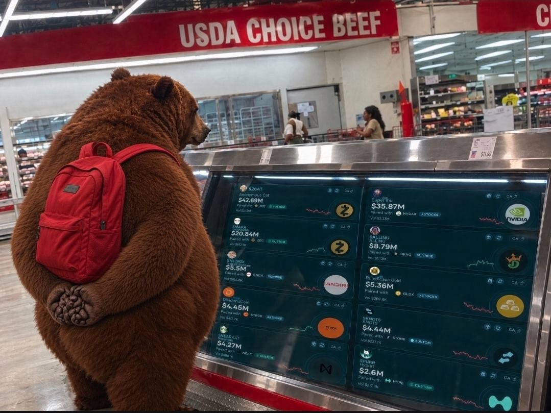 Bear89Backpack's tweet photo. The solana:G6autZruJLEzYKRh84qTsbVhrTvLEbjBYdHnBQH1zitp Bear says soon. 

His name is Backpack. He wears a red backpack 🐻🎒 and pays you out in @Backpack 

The bear looks at the market and says @LaunchOnSF eco pumps this week. https://t.co/5gQ92JHD3c
