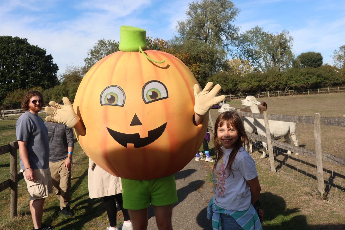 Jupiter_Hadley's tweet photo. (Ad/gifted) We went along to the Pumpkin Village at Marsh Farm today! #pumpkinpatch #pumpkin #spookyseason https://t.co/vuGuwacRK8
