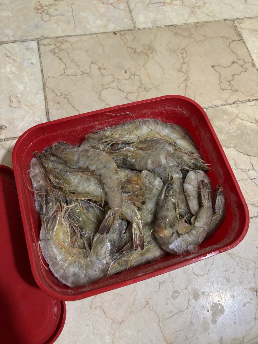 562verse's tweet photo. bad trip nakahanda na yung baso ko wag na nga https://t.co/4gcRjhvIyd