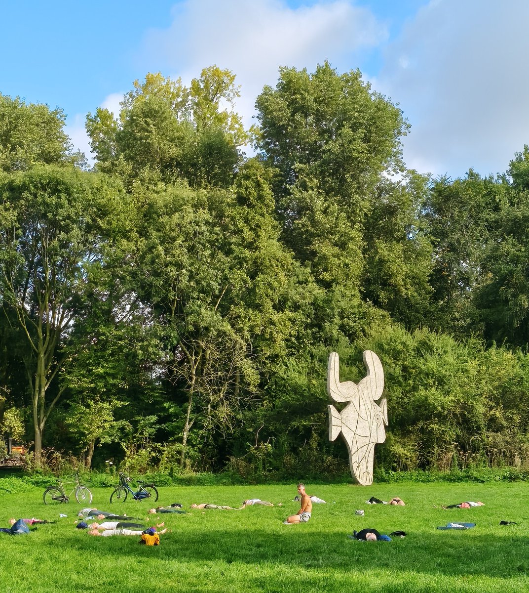 DittrichBoris's tweet photo. Even zag het er dramatisch uit, maar het bleek een yogales te zijn. Vondelpark, Amsterdam https://t.co/5AGFxQO12k