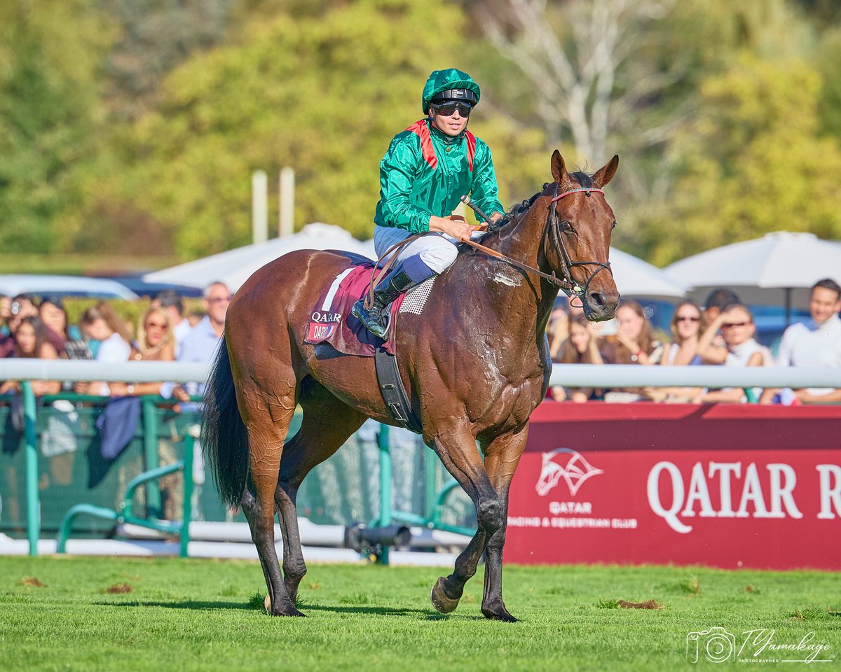 kuritomo24's tweet photo. Photo:2026/10/04
凱旋門賞（G1）

ダリズ
ミカエル・バルザローナ騎手

in ParisLongchamp Racecourse🇫🇷

1番人気に応える堂々の走りで
凱旋門賞連覇達成🏆

強かったなー

#ダリズ
#凱旋門賞 https://t.co/HCHHn3aabx