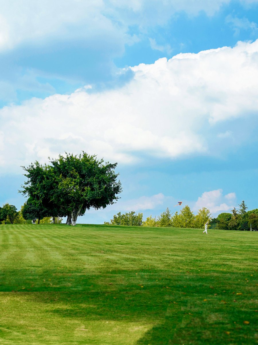 ElizabethCxgl's tweet photo. [Nuestro club de fotografía organiza un picnic fotográfico este sábado! Captura paisajes y momentos divertidos junto a nosotros. Reserva tu plaza ahora!]， https://t.co/89weFGOMla