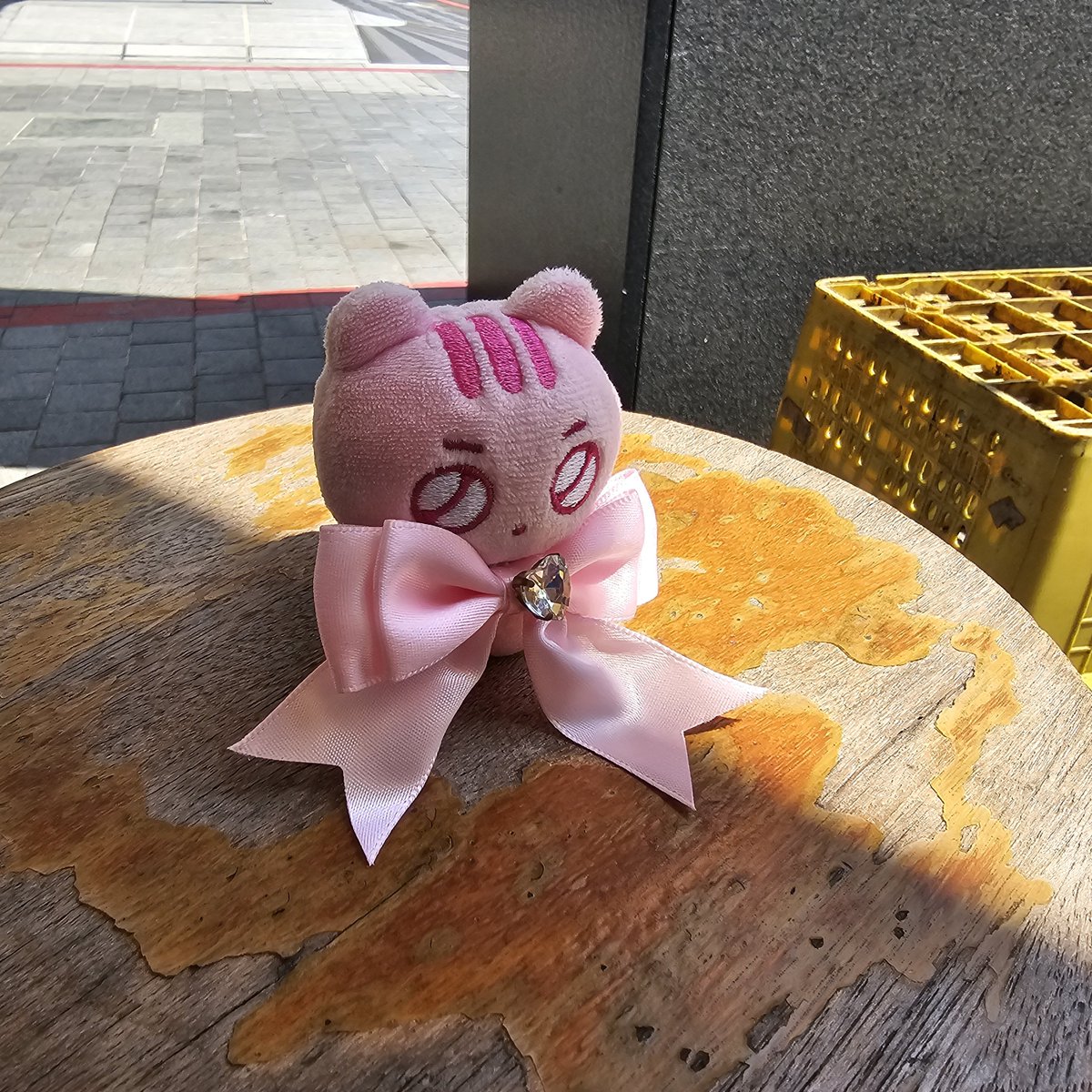 TMIforcats's tweet photo. 我覺得我好像全身都被輾過一樣
我需要休演唱會休息假…
明天再來整理照片跟拿到的禮物
大家怎麼都這麼可愛呢
不管是成員們還是噗哩們，每一個都好可愛 https://t.co/EKwXNhSO0G
