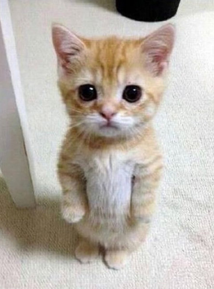 jollieweow's tweet photo. 🫵🏻🫵🏻🫵🏻🫵🏻🫵🏻🫵🏻🩷🩷🩷🙂‍↔️🙂‍↔️ https://t.co/tsZLElFmcz