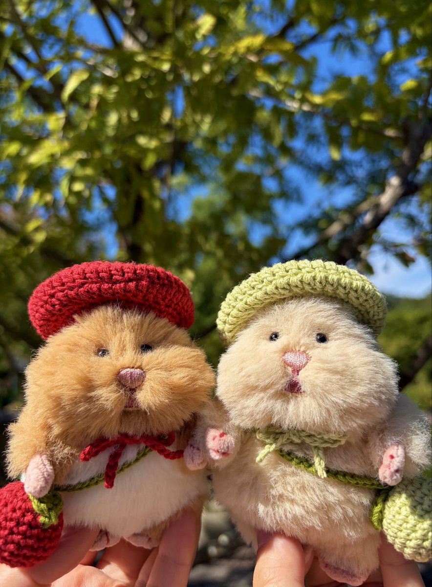 86no_mitarashi's tweet photo. しゅうかくされちゃいました🍎🍏

#はむにぎり https://t.co/01NL7emtYu