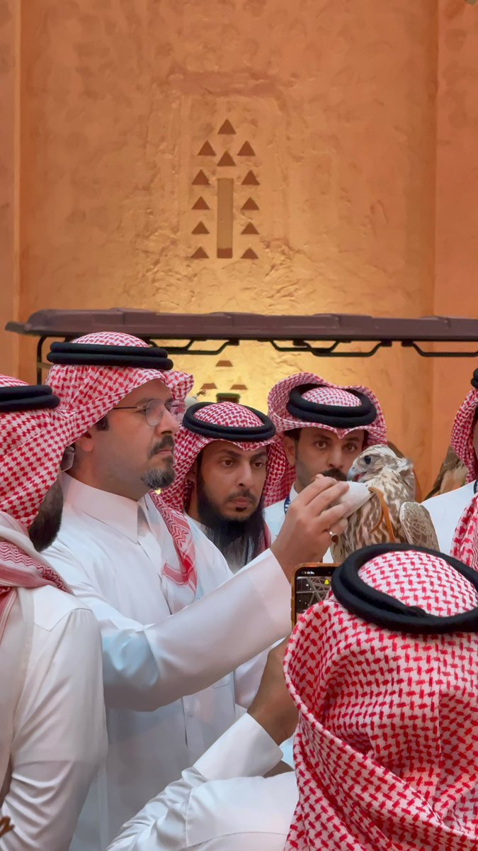 saudipopular's tweet photo. الأمير سلمان ، من معرض الصقور  🤎 https://t.co/pWjlVvkO9k