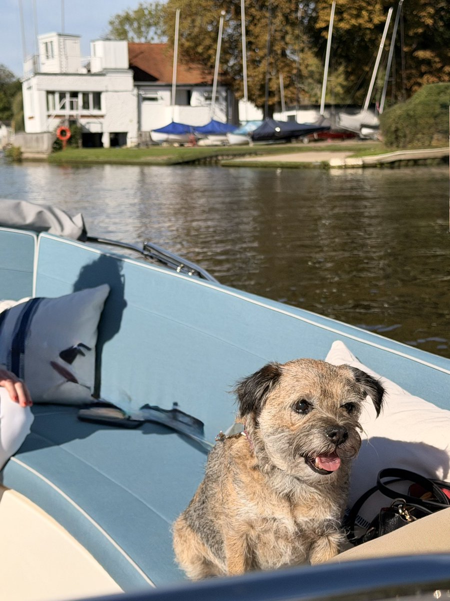 Barnetta_BT's tweet photo. I went on a boat today, and loved it 🥰 https://t.co/ke36ad5uyN