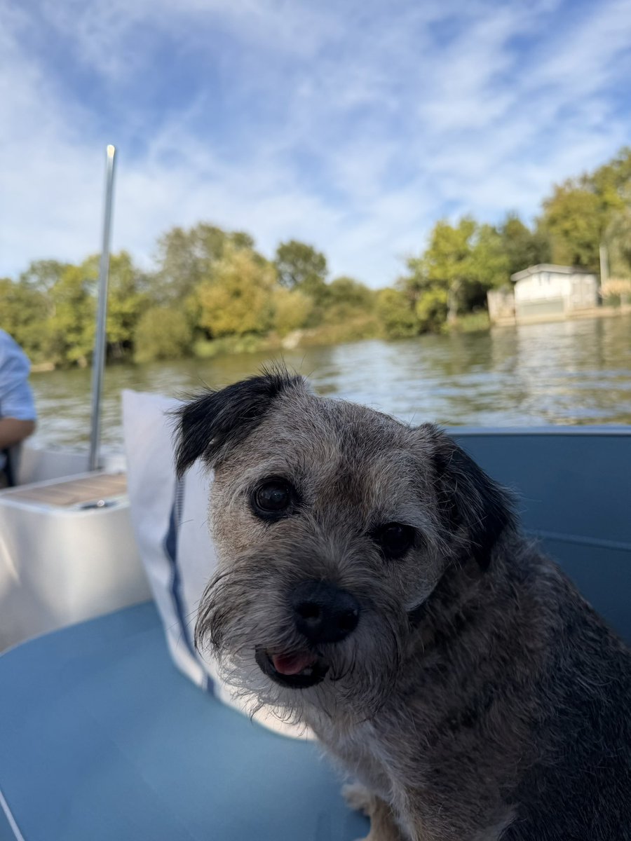 Barnetta_BT's tweet photo. I went on a boat today, and loved it 🥰 https://t.co/ke36ad5uyN