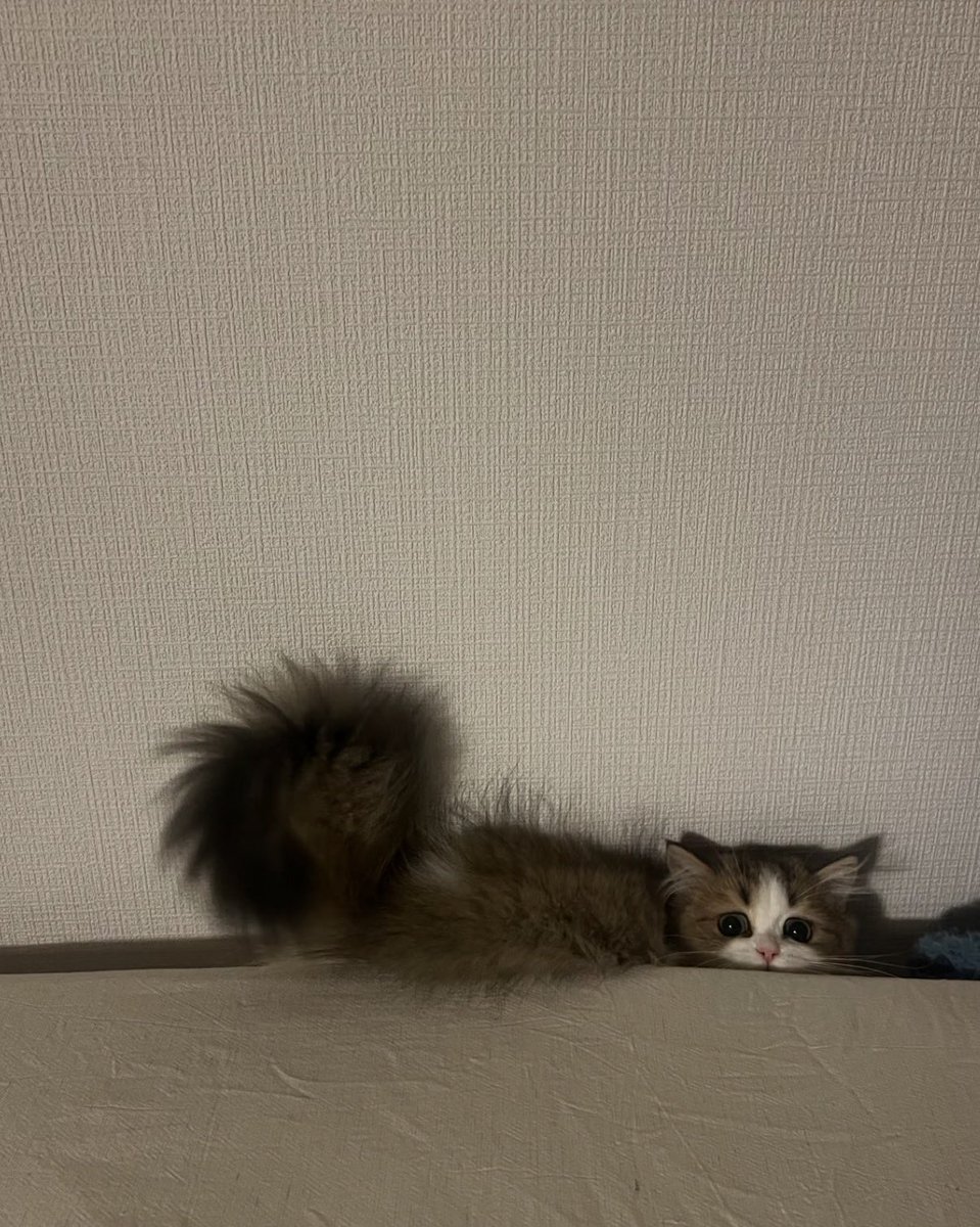 twaniimals's tweet photo. https://t.co/c0tldnRrBC