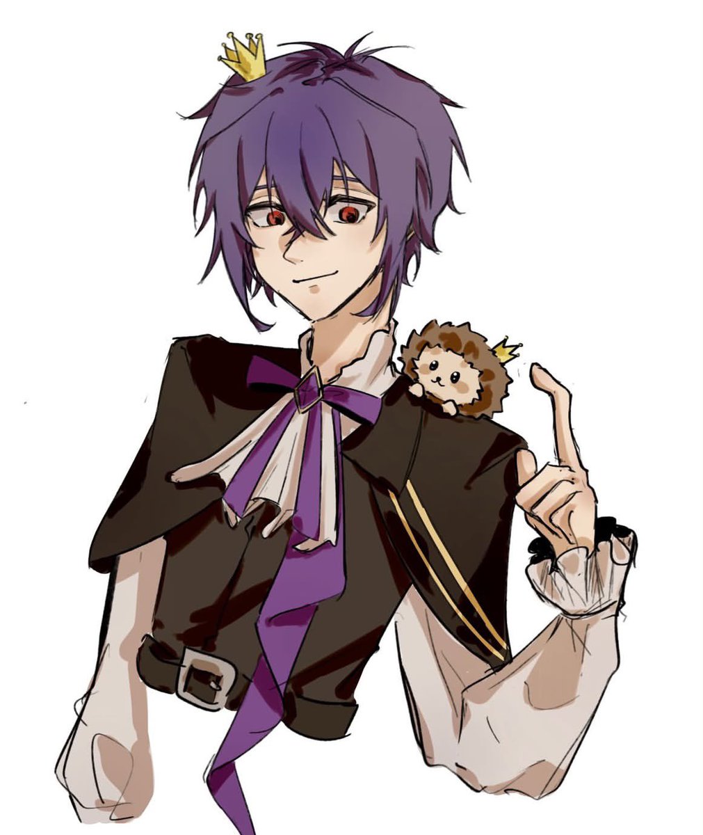 _1ffect's tweet photo. 是朋友画给我的！🦔👑 https://t.co/Ua541d5TVB