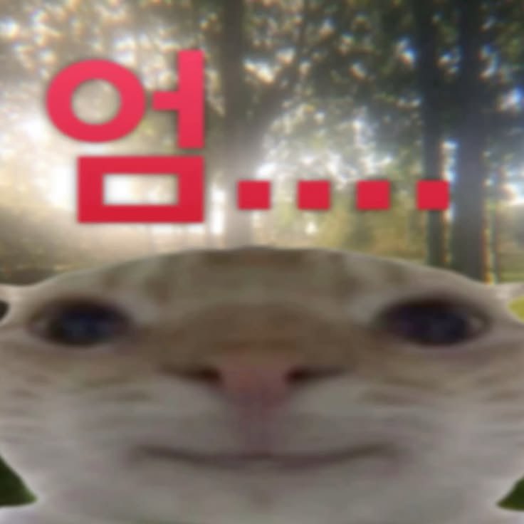 owwisbblly1's tweet photo. @toocooltodi2 https://t.co/sNBiqmDksL