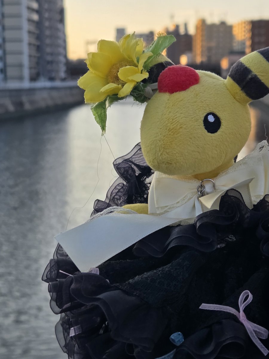 FORZA0nao0616's tweet photo. 深夜&amp;朝一気に作って印刷して全方向に送付していた🤪　穏便に済ませようと事前警告したのに警告無視して居宅に奇襲して数々の不適切をした為、逆襲で書類で役所の方を完全に潰す手を打った🫡　後は静観💣　

#ポケモン　#Pokemon　#ぬい活　#リアルガチバトル　#人の忠告は素直に聞くものよ https://t.co/2S3G4fa17S
