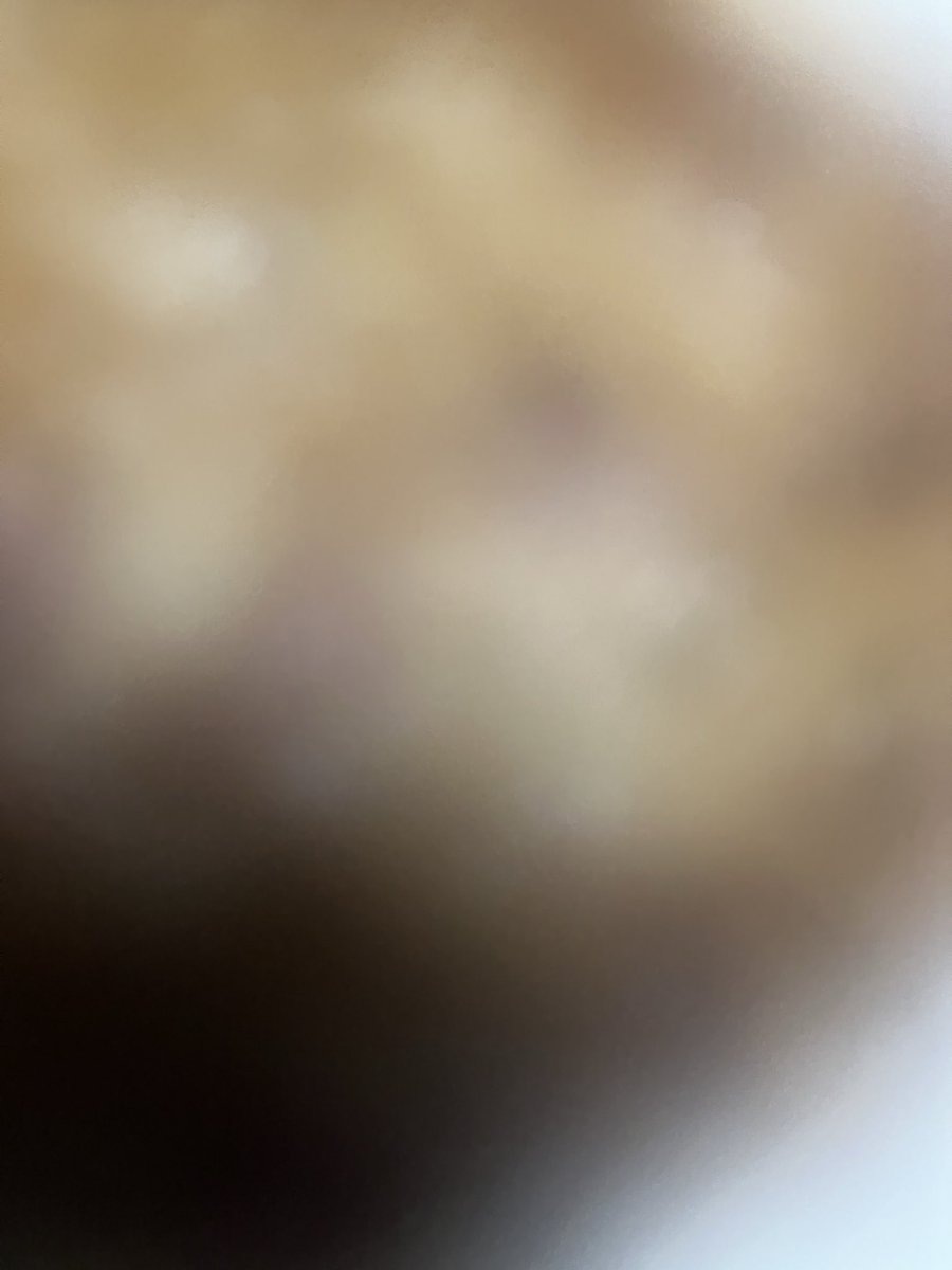 SriusSedna's tweet photo. ヨッメが3000年振りにハンバーグ作ってくれました🍣 https://t.co/1NBREOzvBV