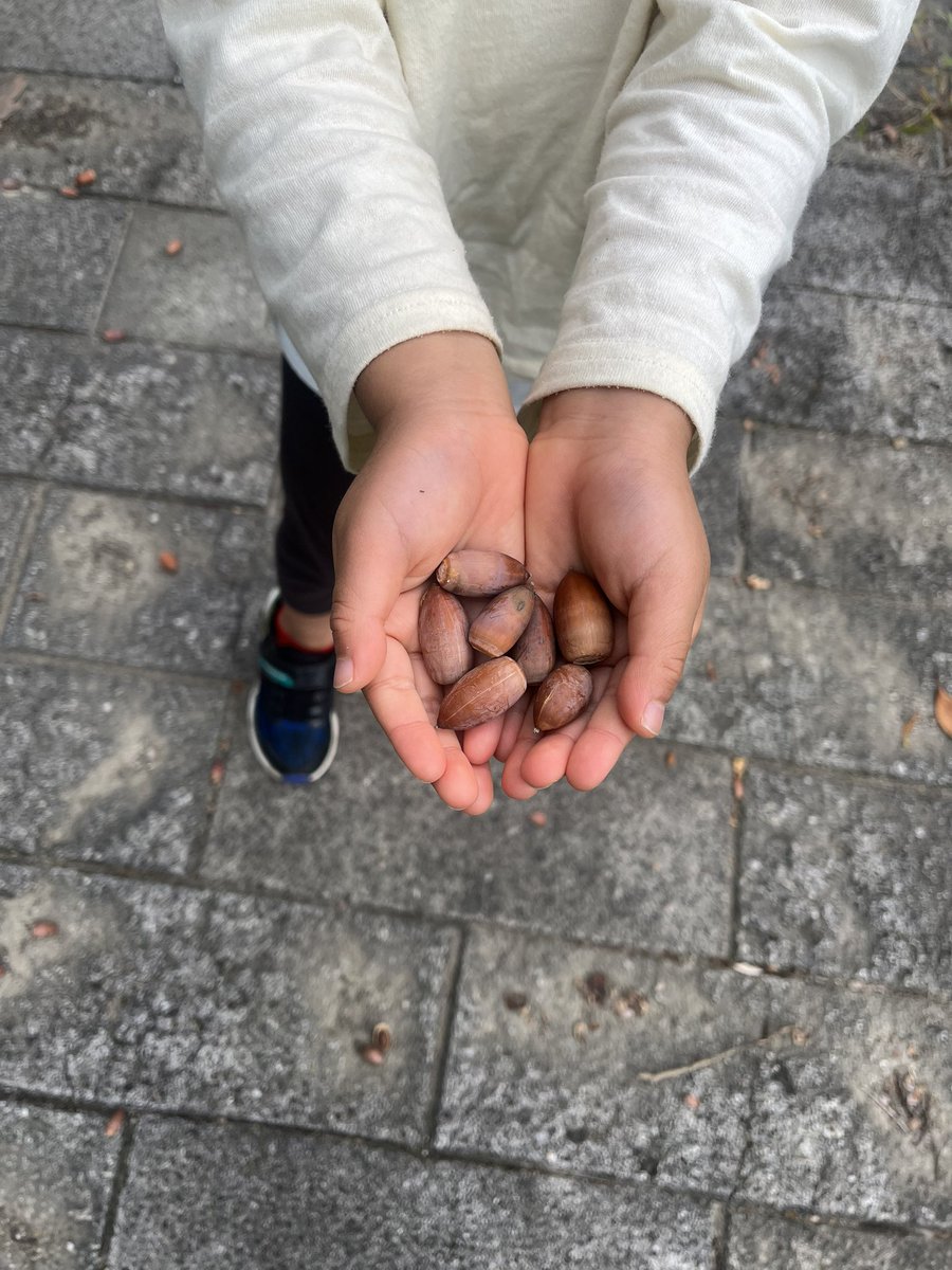 ktrnfknk's tweet photo. 今日は父と息子と実家近くの公園で🍂
秋だと言うのに噴水に突っ込んでびしょびしょになり、公園中駆け回ってアヒルボートも乗りヘトヘトに😭

姉が作ってくれたカニちゃんのチャームかわいい🥹🥰早速ファンデーションにつけた🫶 https://t.co/UwEFaV5PY9