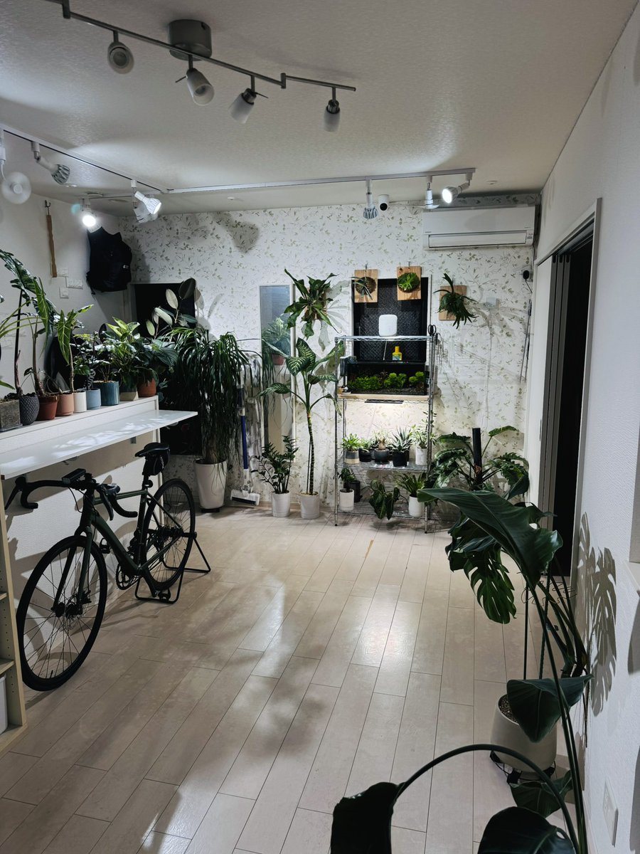 k13_13_13_'s tweet photo. 趣味全開の部屋

もう1個水槽が来る予定 https://t.co/p31Dmx5M39