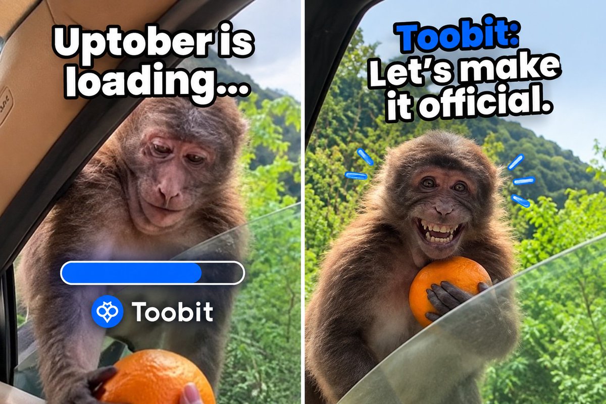 NukiFernanda's tweet photo. #Toobit #Uptober #ToobitUptober
Create a meme on Toobit

@Toobit_official making uptober official just cured my bear market depression. we are finally eating good this month.

@indrasetya092 @RSomad2339 @firmawanrendra https://t.co/Bi8seB84OE
