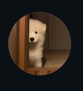 Lu_exo82's tweet photo. Imagine Baekhyun x Illenium releasing this song and nonkpoppers being like Oh my fucking God, who's this singer? He’s absolutely killing it then they go search for his social media and the results 😭: https://t.co/H1CGLiYUnk