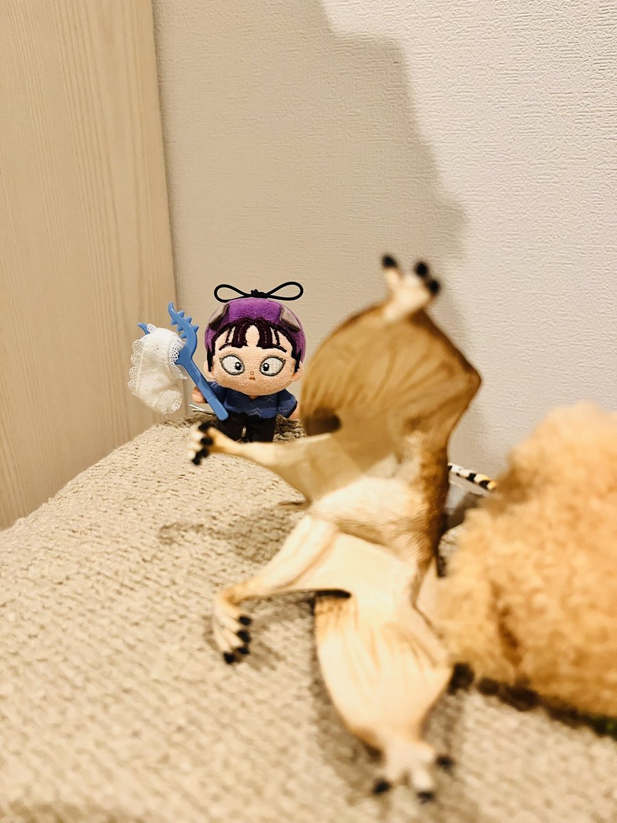 TdFl6fOSQn43031's tweet photo. ＃ほわぬいといっしょ 
＃rkrnぬい撮り部 https://t.co/qLlxV5oaqx