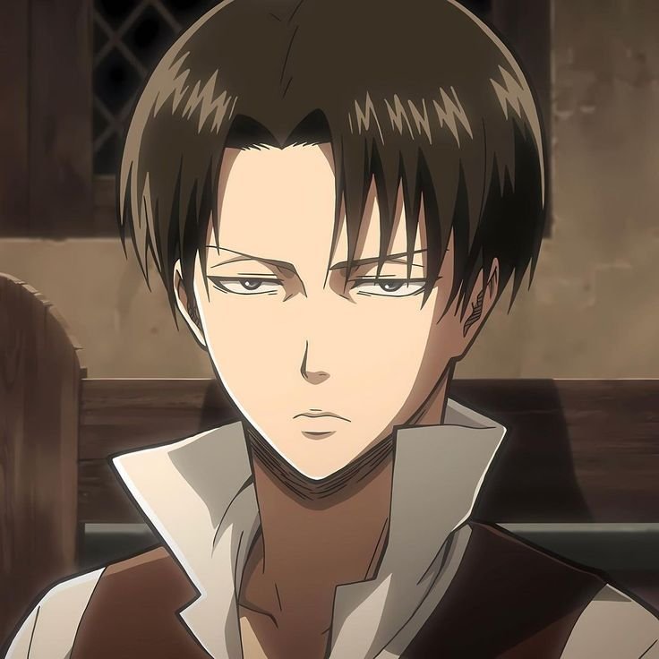 luvxlevi1225's tweet photo. Levi Ackerman 🖤 https://t.co/5ykjDEVVtM
