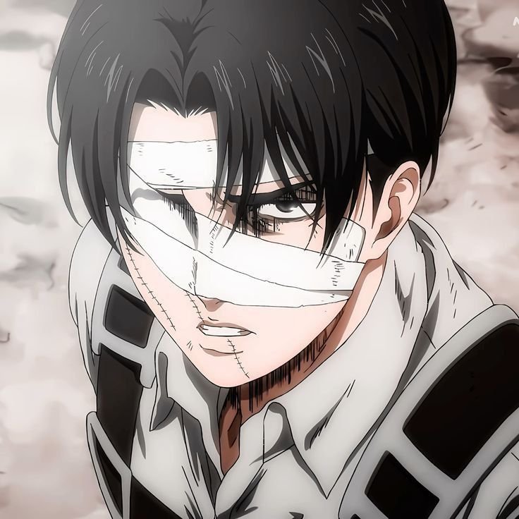 luvxlevi1225's tweet photo. Levi Ackerman 🖤 https://t.co/5ykjDEVVtM