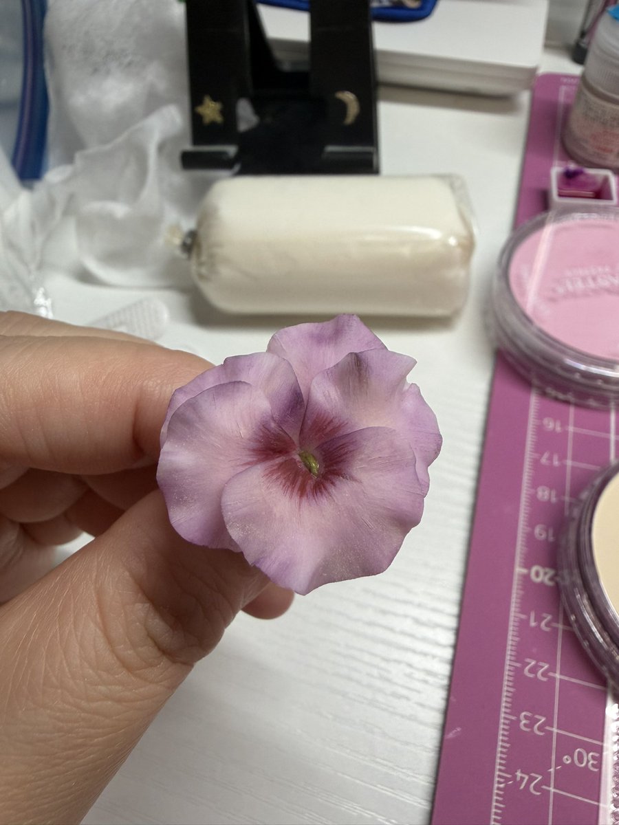nomoaya2020's tweet photo. 急に突然納得のいくビオラが咲かせられる事がある。
めちゃくちゃ可愛いと思いませんか！！！ https://t.co/3sCd160HFT