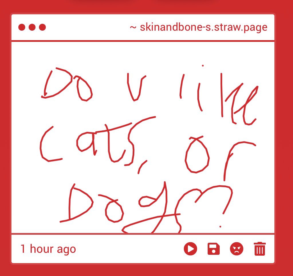 cigarettesrot's tweet photo. huuuge cat person. i love cats so much thinking of dogs make me nauseous 
(─‿‿─)♡
https://t.co/auIFMWwDkb https://t.co/jXKX8SpCq2
