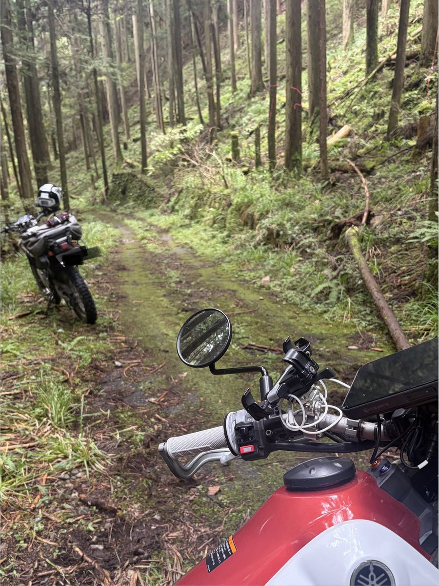 sazanka70's tweet photo. なる@sy_narukami さんと奥多摩方面ツーリング🏍️
久しぶりのバイク日和で下調べしたのにグダグダ🥶
でも、ソロには無い良さがあって楽しかったなぁー🌳また行きたいです！
そしてこの日は、人生初のカモシカ見れて軽く興奮した🤩 https://t.co/N3zoxvGQFC
