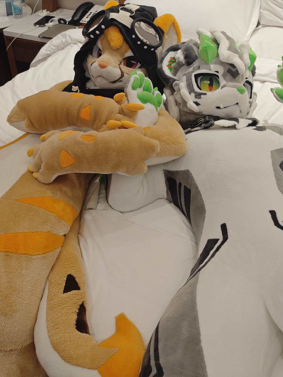Hallyswift's tweet photo. hf有抓到言葉么？
#hifurry https://t.co/cdMDfy6ZI8