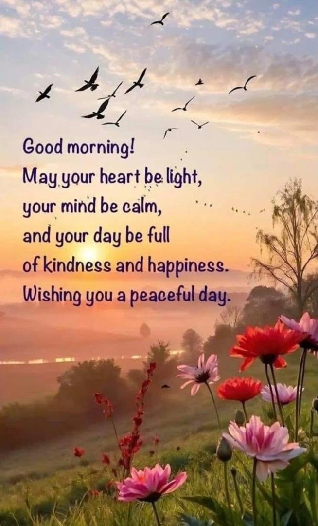 25sllee's tweet photo. @youcanfindlynn https://t.co/lMsKeqrH3T