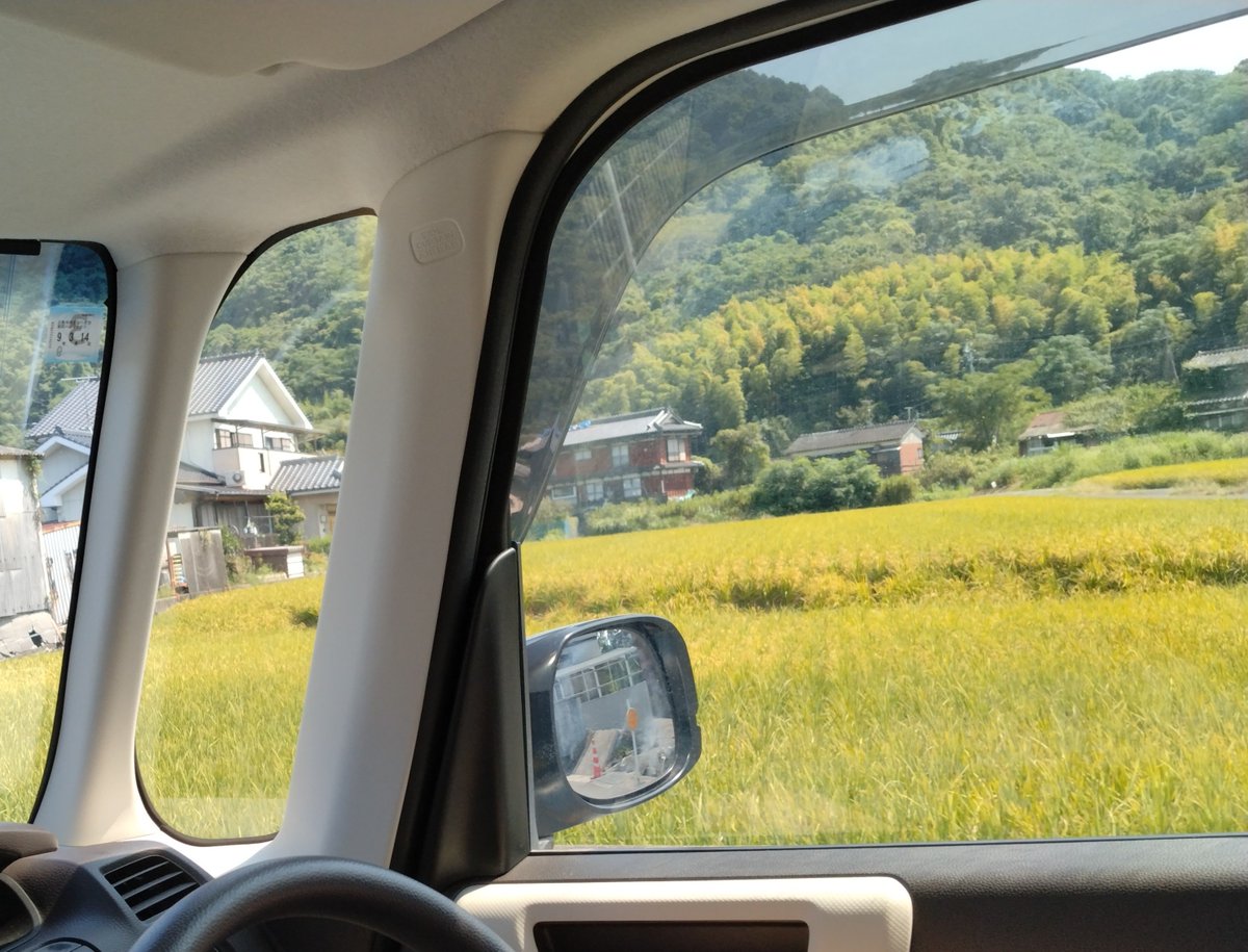 Saturday_lovers's tweet photo. 帰省したときに撮った一枚。断層ができても稲穂は実る。バックミラーにも地震の爪痕が未だに残っていました。 https://t.co/wANQKTnKXo